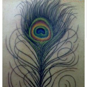 Meet your Posher, Darcie