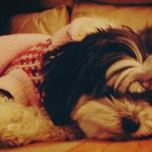 Meet your Posher, Marina