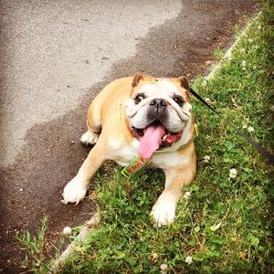 Meet your Posher, Aimee