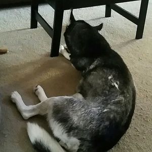 Meet your Posher, Jeanne