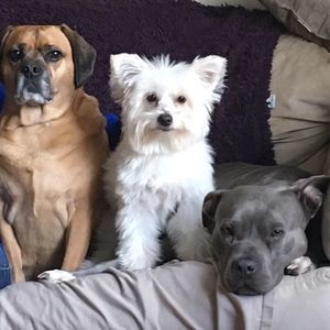 Meet your Posher, Wendy