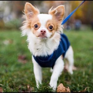 Meet your Posher, Katherine