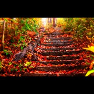 Meet your Posher, Vasilia