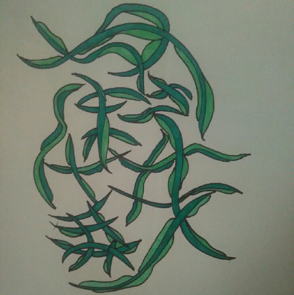 Seaweed Greens