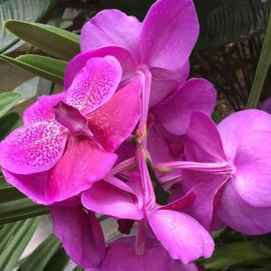 Meet your Posher, Jeanette