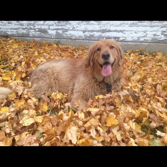 Welcome to my closet! - Picture 4 of 5