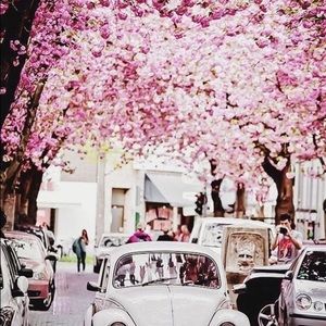 Meet your Posher, Madeline