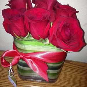 Meet your Posher, Rora