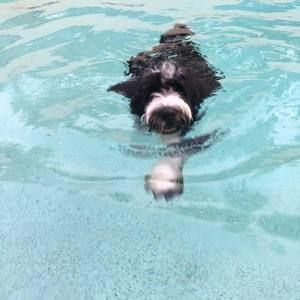 Meet your Posher, Leah