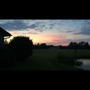 Meet your Posher, Cheyenne