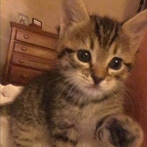 Meet your Posher, Kaytie