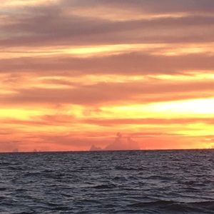 Meet your Posher, Jacey