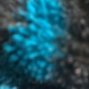 Meet your Posher, Maxine