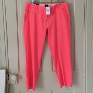 J. Crew Skinny Fit Pant