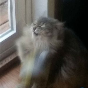 Meet your Posher, Katelyn