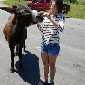 Meet your Posher, Abby