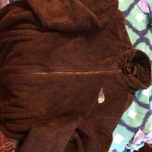 Small Brown North Face