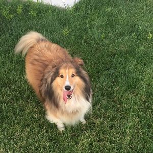 Meet your Posher, Cailee