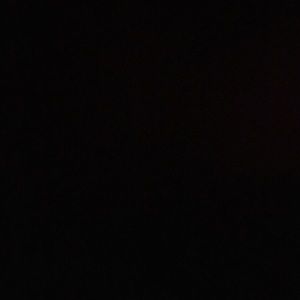 Meet your Posher, Sadie