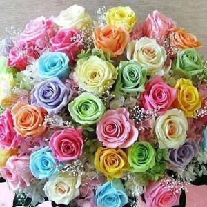 Meet your Posher, Shelly