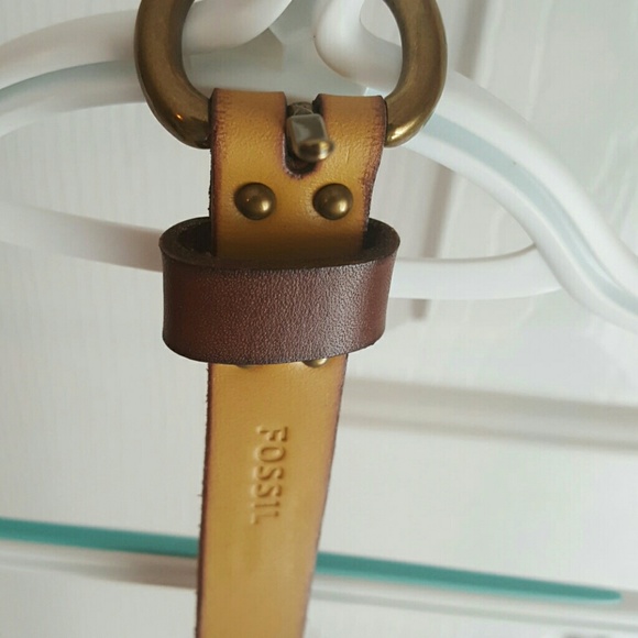 Fossil belt