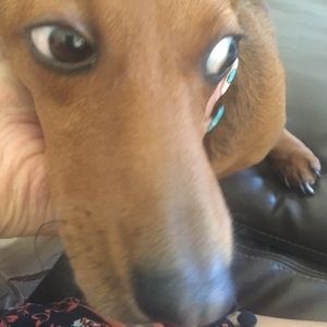 Meet your Posher, Jj