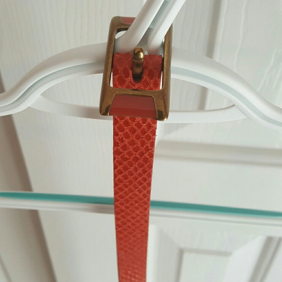 Red fossil belt