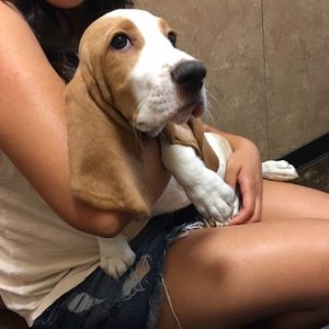 Meet your Posher, Kathy