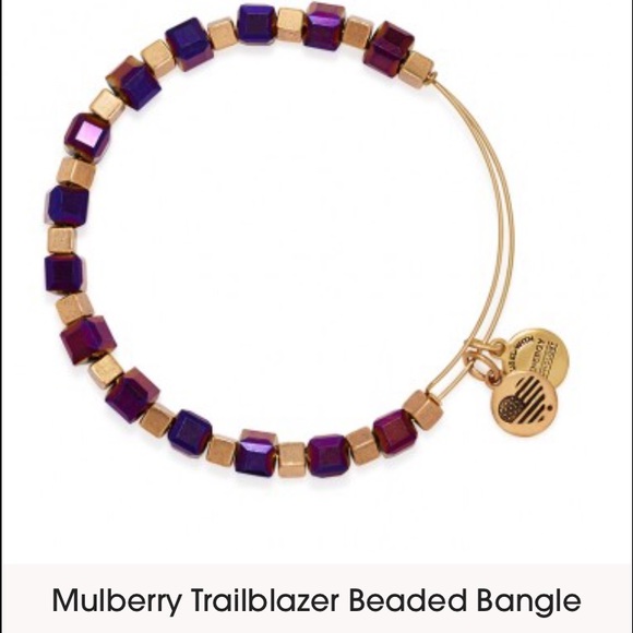 Alex & Ani Trailblazer bracelet