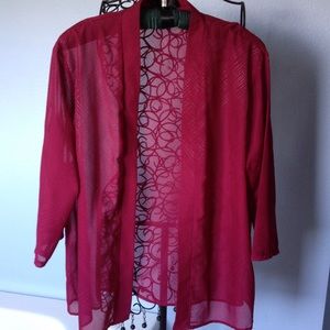 Salon Studio Semi Sheer Cover Up - Top XLP