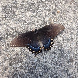 Meet your Posher, Sheryl