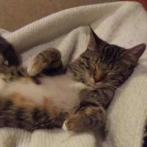 Meet your Posher, Lisa