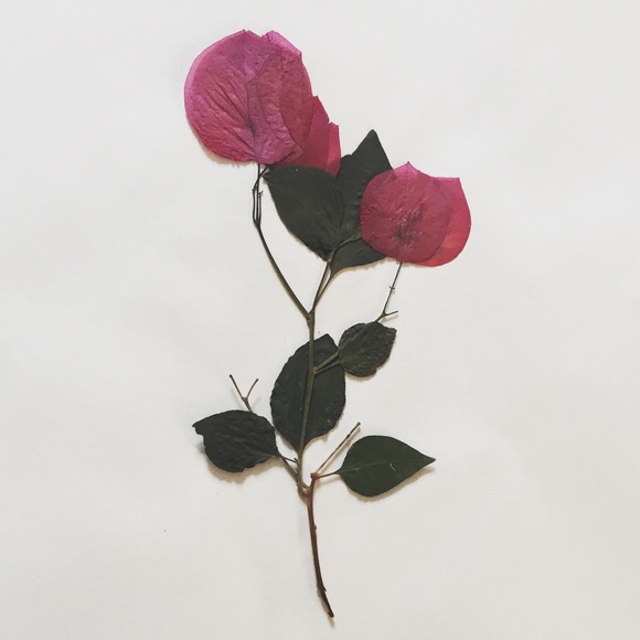 Reduced prices & 30% off bundles of 2+!