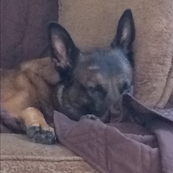 Meet your Posher, Julie