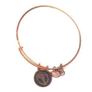 Alex and Ani bracelet