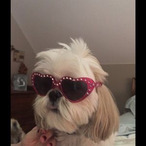 Meet your Posher, Gerry