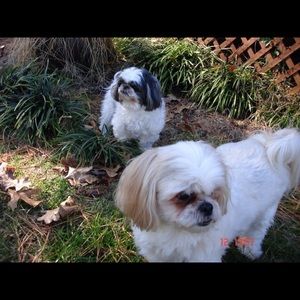 Meet your Posher, Karan