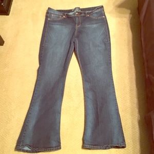 Source of Wisdom jeans