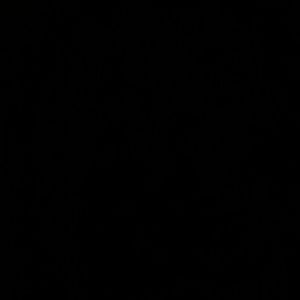 Meet your Posher, Bijanka