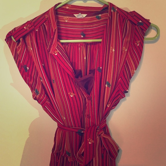 Adorable vintage inspired dress with slip