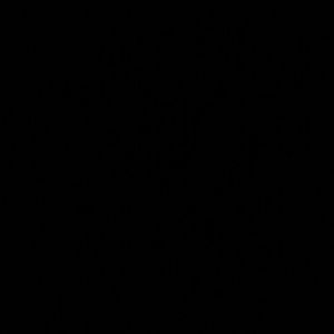 Meet your Posher, Cristina