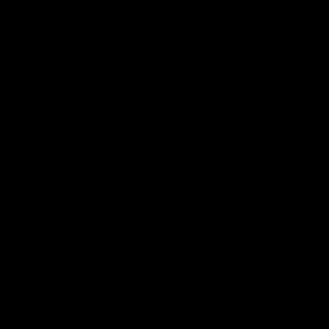 Meet your Posher, Ash