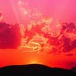 Meet your Posher, Lexi