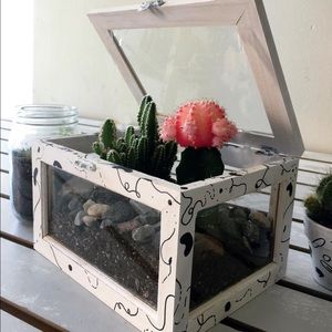 Large terrarium with cacti