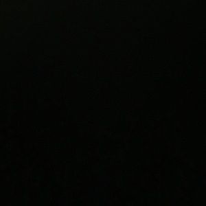 Meet your Posher, Dani