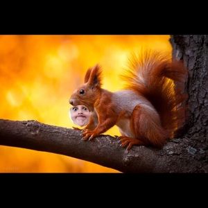 Meet your Posher, Gracie