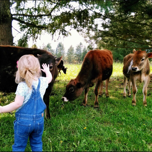 Meet your Posher, Shyla