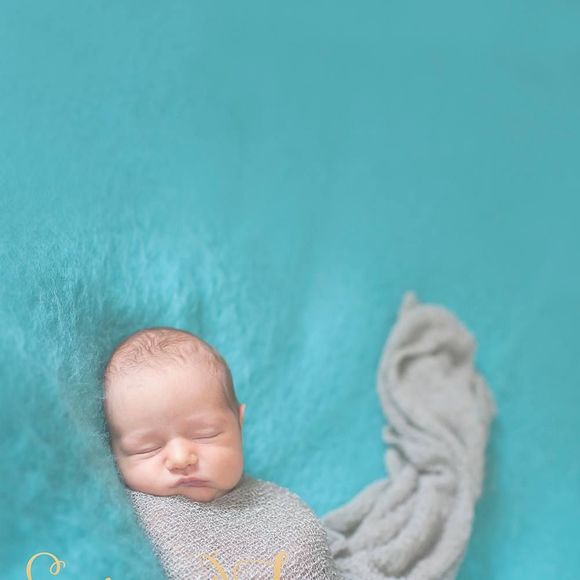 Meet your Posher, Bree - Picture 1 of 1