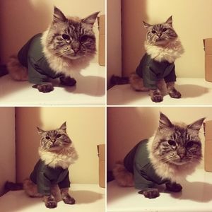 Meet your Posher, Becky