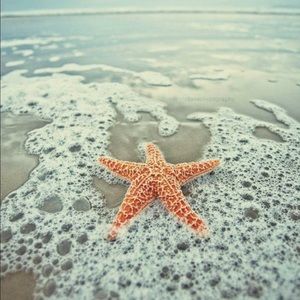 Meet your Posher, Carol